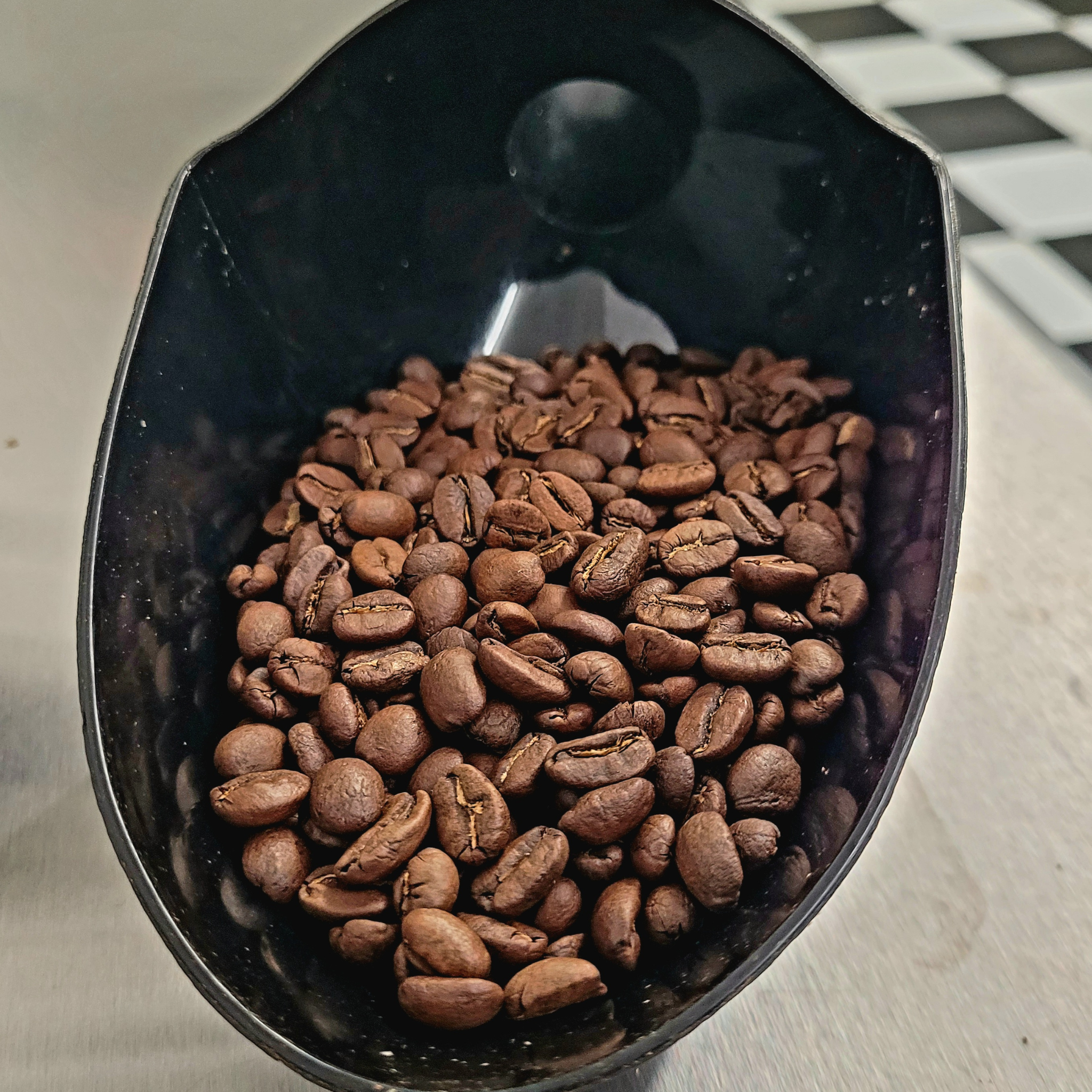 Gold Star Blend (Medium) 12oz