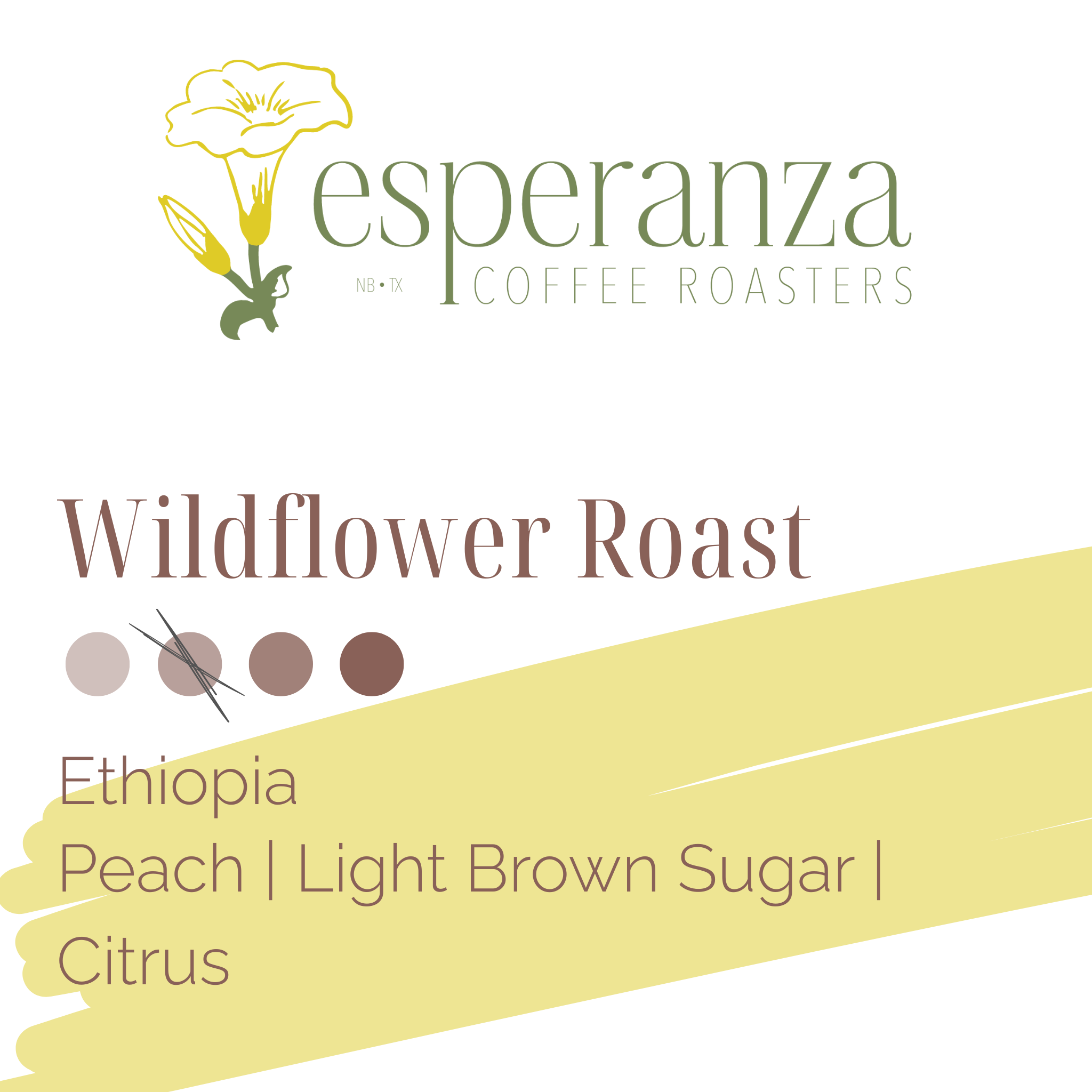 Wildflower Roast 12oz